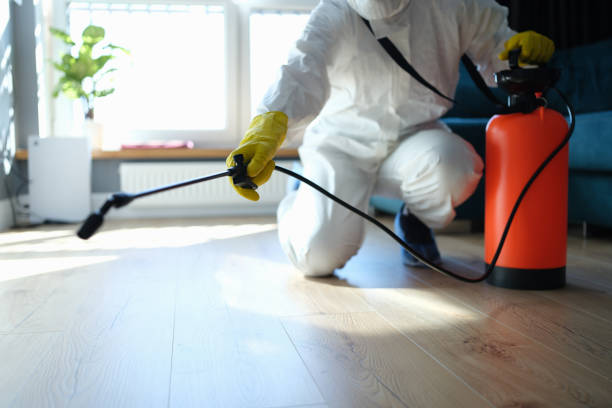 Reliable Biohazard Cleanup contractor in Indian Wells, CA by Trauma Clean Pros